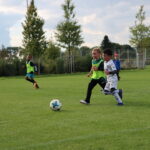 Gerd-Vorgt-Sportpark Training FC Erding